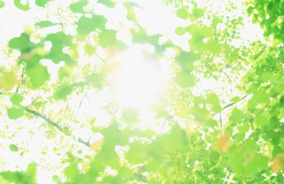 養育費が支払われていない場合は、しおかぜ法律事務所へご相談ください